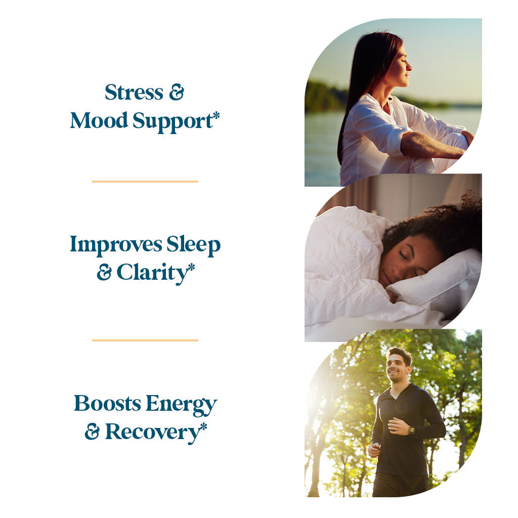 Stress & Mood support, improves sleep and clarity, boosts energy and recovery.