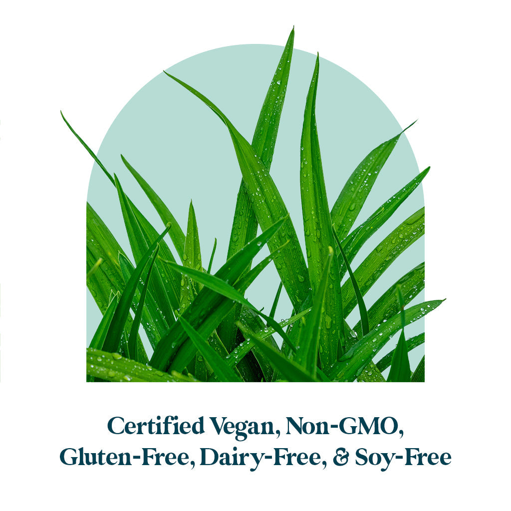 Certified vegan, non-gmo, gluten-free, dairy-free and soy-free.